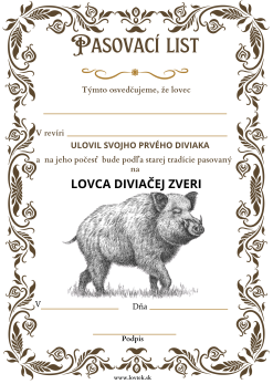 Pasovací list Diviak