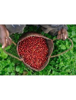 Výberová káva Hunters Coffee Ethiopia 250g