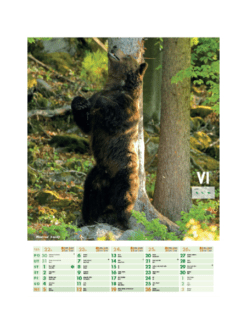 Nástenný kalendár Poľovník 2022