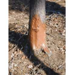 SANATEX VS sanácia poranených stromov 10kg